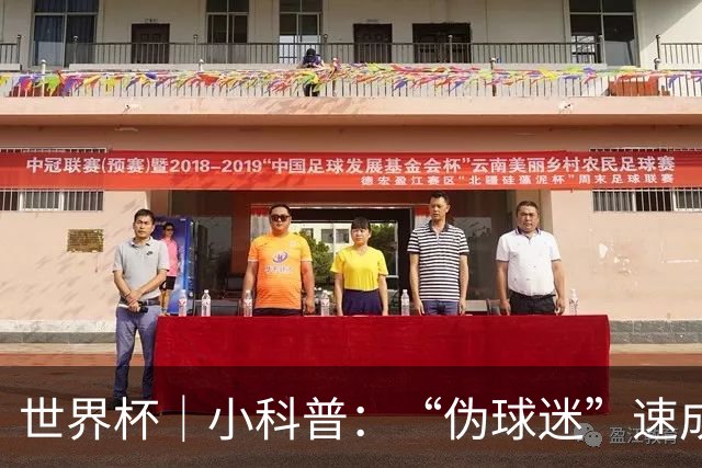 世界杯｜小科普：“伪球迷”速成手册